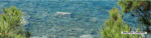Acqua trasparente Sottotorre Calasetta